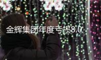 金輝集團年度虧損8.05億港元
