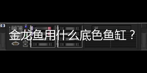 金龍魚用什么底色魚缸？金龍魚用什么底色