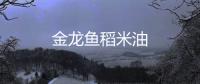 金龍魚稻米油