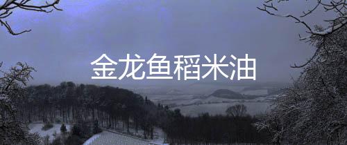 金龍魚稻米油