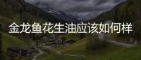 金龍魚(yú)花生油應(yīng)該如何樣