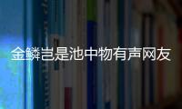 金鱗豈是池中物有聲網友關心什么?