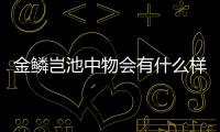 金鱗豈池中物會有什么樣影響?