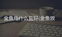 金魚用什么鹽好(金魚放鹽有什么用)