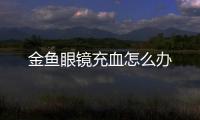 金魚眼鏡充血怎么辦