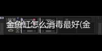 金魚缸怎么消毒最好(金魚缸可以用高錳酸鉀消毒嗎)