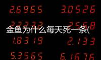 金魚為什么每天死一條(金魚為什么每天早上都會死一條)