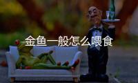 金魚一般怎么喂食