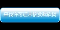 采伐許可證未核發就砍樹 六旬老漢獲有期徒刑3年