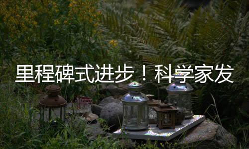 里程碑式進步!科學家發現全新心臟電信號傳遞路徑—新聞—科學網