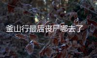 釜山行最后喪尸哪去了 視頻（釜山行最后喪尸哪去了）