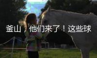 釜山，他們來(lái)了！這些球隊(duì)將亮相2020團(tuán)體世乒賽