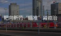 靶向新藥“瞄準”腎癌治療難題