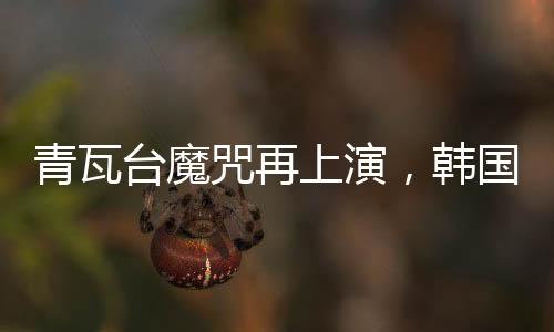 青瓦臺魔咒再上演，韓國前總統李明博獲刑17年