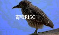 青稞RISC