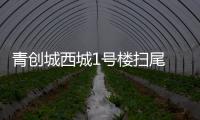 青創城西城1號樓掃尾 6月份交付開業運營