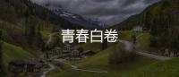 青春白卷
