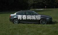 青春扁嘴鉗