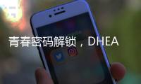 青春密碼解鎖，DHEA帶你重拾活力與美麗！