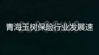 青海玉樹保險(xiǎn)行業(yè)發(fā)展速度驚人