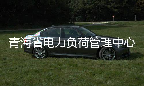 青海省電力負荷管理中心揭牌成立