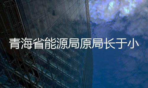 青海省能源局原局長于小明一審被判6年半