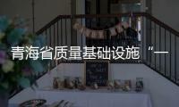青海省質(zhì)量基礎(chǔ)設(shè)施“一站式”線上咨詢服務(wù)平臺試運(yùn)行