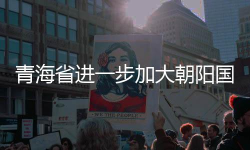 青海省進一步加大朝陽國家電子商務示范基地建設