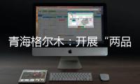 青海格爾木：開展“兩品一械”監督檢查