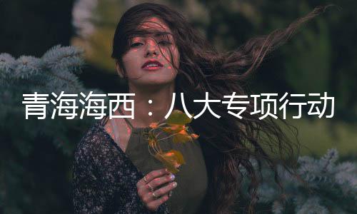 青海海西：八大專項行動護航“兩品一械”安全