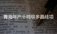 青海年產千噸級多晶硅項目投產