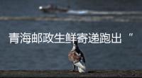 青海郵政生鮮寄遞跑出“加速度”