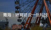 青海：培育建設一批科技企業孵化器和“雙創”示范基地