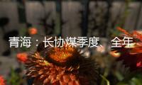 青海：長協(xié)煤季度、全年履約量必須達(dá)到100%