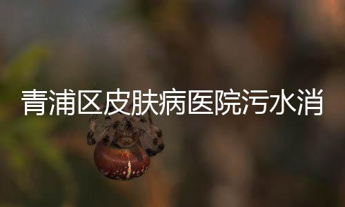 青浦區皮膚病醫院污水消毒設備