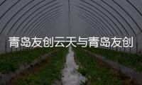 青島友創云天與青島友創軟件科技有限公司的原因