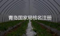 青島國家局核名注冊