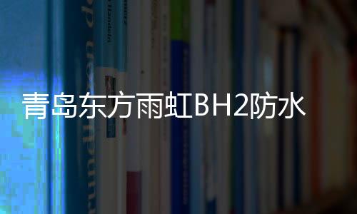 青島東方雨虹BH2防水涂料新建項目試機成功