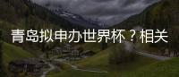 青島擬申辦世界杯？相關部門回應：不一定是主賽事