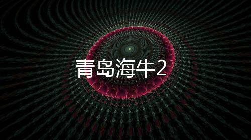 青島海牛2