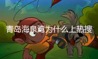青島海泉灣為什么上熱搜?