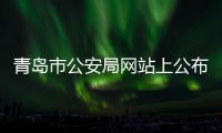 青島市公安局網站上公布的出生申報詳情