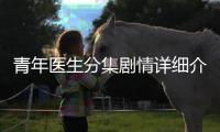 青年醫(yī)生分集劇情詳細(xì)介紹(1