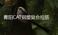 青陽CAT鋼塑復(fù)合拉筋帶廠家采購供應(yīng)