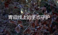 青藏線上的生態守護