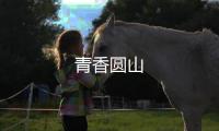 青香圓山