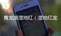 青龍湖濕地紅（濕地紅龍在）