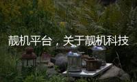 靚機平臺，關于靚機科技軟件下載800詳細情況