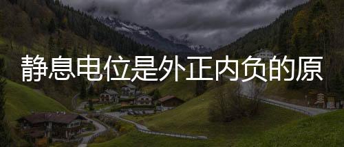 靜息電位是外正內負的原因（靜息電位是外負內正）