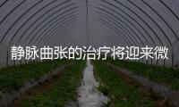 靜脈曲張的治療將迎來微創(chuàng)無痛時代